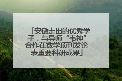 安徽走出的优秀学子，与导师“韦神”合作在数学顶刊发论表重要科研成果