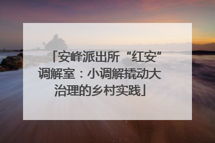 安峰派出所“红安”调解室：小调解撬动大治理的乡村实践