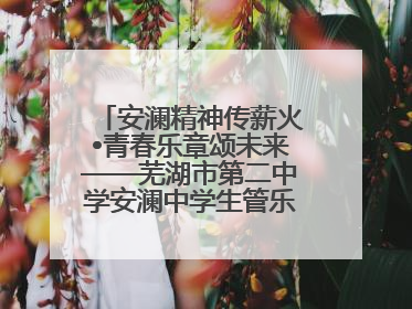 安澜精神传薪火•青春乐章颂未来——芜湖市第二中学安澜中学生管乐团第十二届公益展演圆满举行