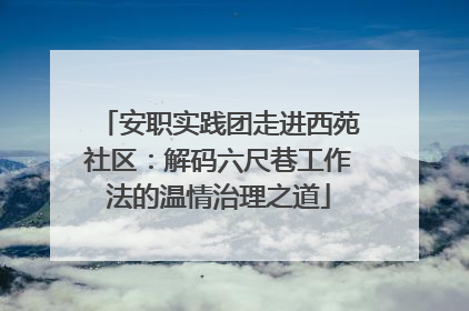 安职实践团走进西苑社区：解码六尺巷工作法的温情治理之道