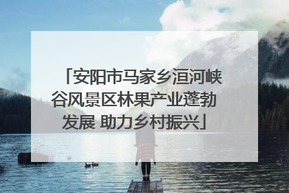 安阳市马家乡洹河峡谷风景区林果产业蓬勃发展 助力乡村振兴