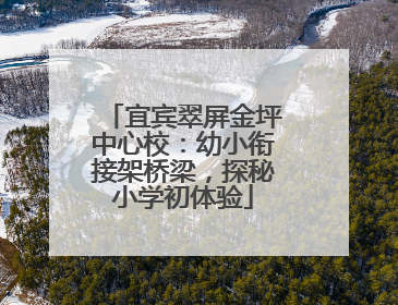 宜宾翠屏金坪中心校：幼小衔接架桥梁，探秘小学初体验