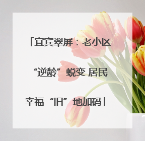 宜宾翠屏：老小区“逆龄”蜕变 居民幸福“旧”地加码