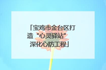宝鸡市金台区打造“心灵驿站” 深化心防工程