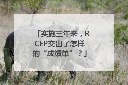 实施三年来，RCEP交出了怎样的“成绩单”？