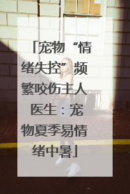 宠物“情绪失控”频繁咬伤主人 医生：宠物夏季易情绪中暑