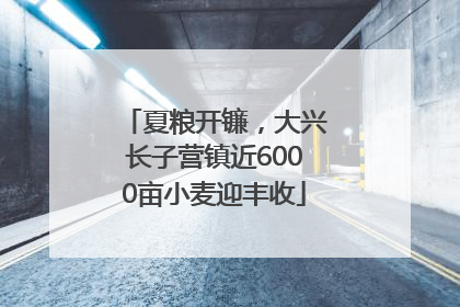 夏粮开镰，大兴长子营镇近6000亩小麦迎丰收