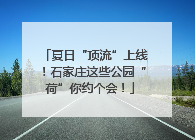 夏日“顶流”上线！石家庄这些公园“荷”你约个会！