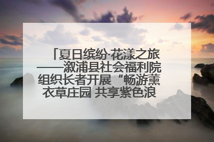 夏日缤纷·花漾之旅——溆浦县社会福利院组织长者开展“畅游薰衣草庄园 共享紫色浪漫”户外活动