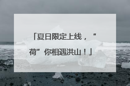 夏日限定上线，“荷”你相遇洪山！