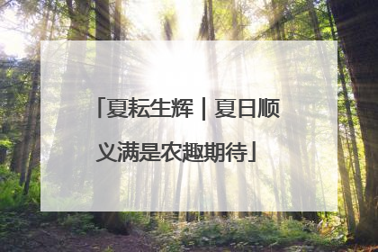 夏耘生辉｜夏日顺义满是农趣期待