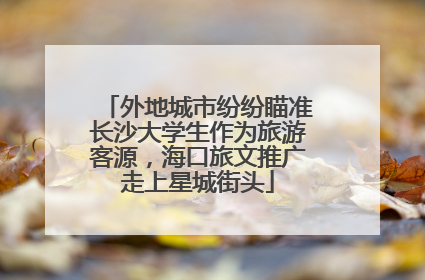 外地城市纷纷瞄准长沙大学生作为旅游客源，海口旅文推广走上星城街头