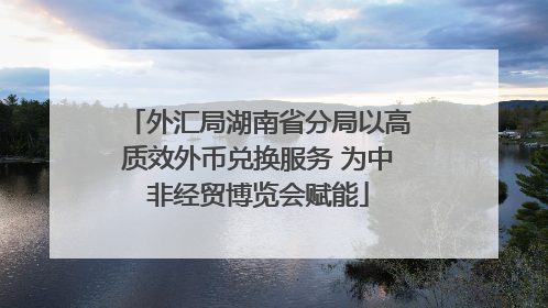 外汇局湖南省分局以高质效外币兑换服务 为中非经贸博览会赋能
