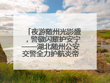 夜游随州光影盛，警徽闪耀护安宁——湖北随州公安交警全力护航炎帝故里寻根节夜游活动侧记
