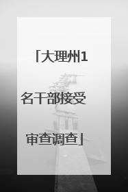 大理州1名干部接受审查调查