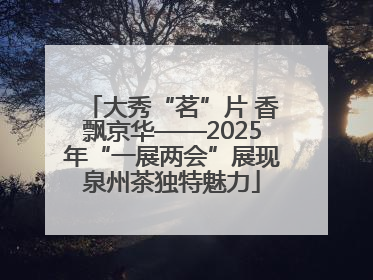 大秀“茗”片 香飘京华——2025年“一展两会”展现泉州茶独特魅力