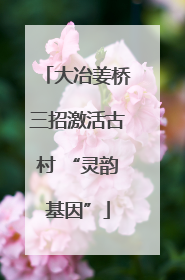 大冶姜桥三招激活古村 “灵韵基因”