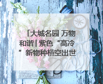 大城名园 万物和谐│紫色“高冷”新物种横空出世，皱褶叶片暗藏进化密码