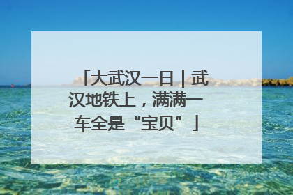 大武汉一日｜武汉地铁上，满满一车全是“宝贝”