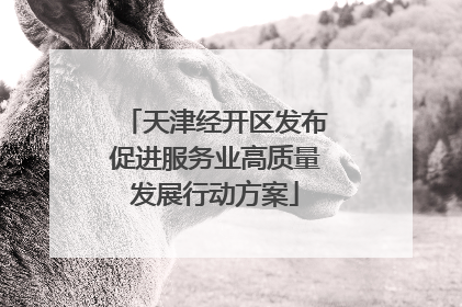 天津经开区发布促进服务业高质量发展行动方案
