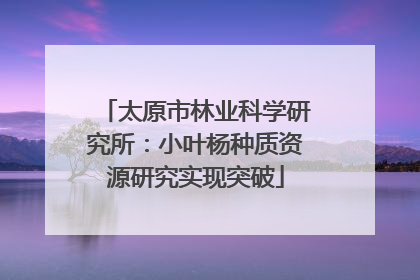 太原市林业科学研究所：小叶杨种质资源研究实现突破