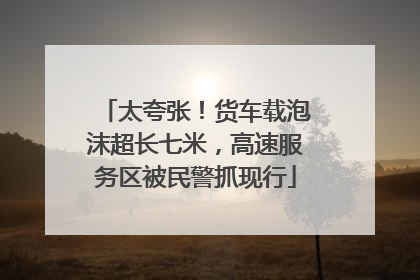 太夸张！货车载泡沫超长七米，高速服务区被民警抓现行