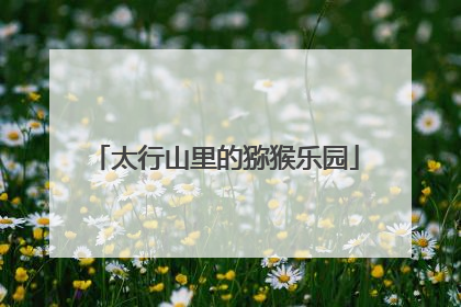 太行山里的猕猴乐园