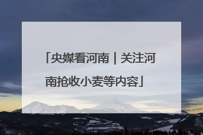 央媒看河南｜关注河南抢收小麦等内容