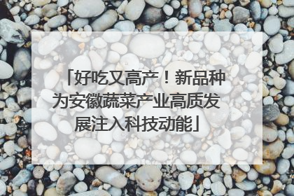 好吃又高产！新品种为安徽蔬菜产业高质发展注入科技动能