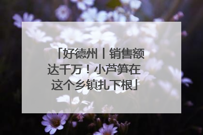 好德州丨销售额达千万！小芦笋在这个乡镇扎下根