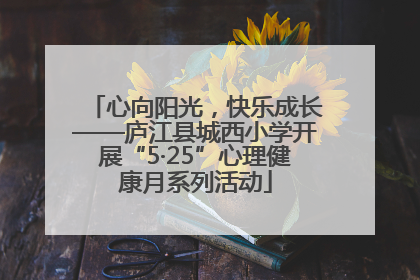 心向阳光，快乐成长——庐江县城西小学开展“5·25”心理健康月系列活动