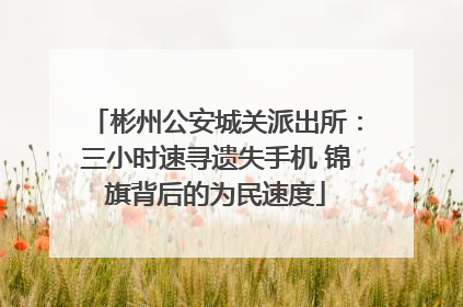 彬州公安城关派出所：三小时速寻遗失手机 锦旗背后的为民速度