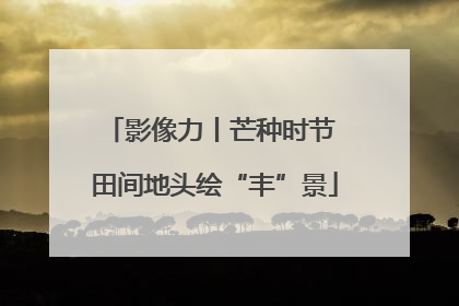 影像力丨芒种时节 田间地头绘“丰”景