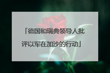 德国和瑞典领导人批评以军在加沙的行动