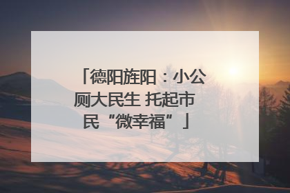 德阳旌阳：小公厕大民生 托起市民“微幸福”
