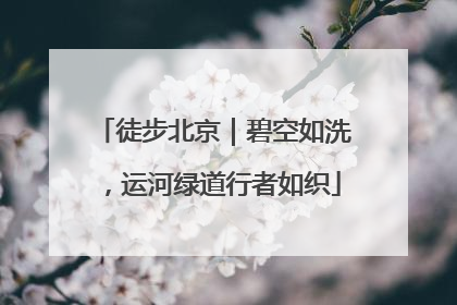 徒步北京｜碧空如洗，运河绿道行者如织
