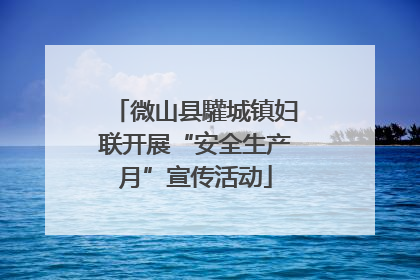 微山县驩城镇妇联开展“安全生产月”宣传活动