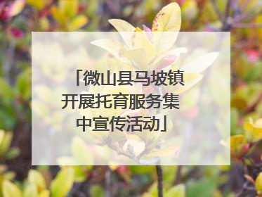 微山县马坡镇开展托育服务集中宣传活动