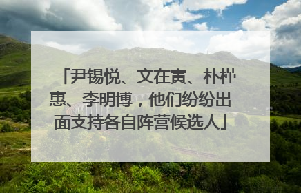 尹锡悦、文在寅、朴槿惠、李明博，他们纷纷出面支持各自阵营候选人