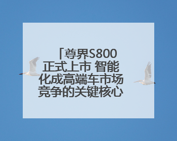 尊界S800正式上市 智能化成高端车市场竞争的关键核心丨新经济观察