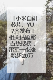 小米自研芯片、YU7齐发布！相关话题霸占热搜榜，雷军一夜涨粉超20万