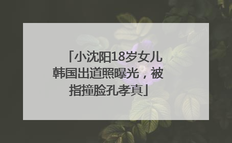 小沈阳18岁女儿韩国出道照曝光，被指撞脸孔孝真