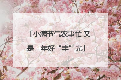 小满节气农事忙 又是一年好“丰”光
