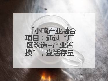 小鸭产业融合项目：通过“厂区改造+产业置换”，盘活存量，增值增效