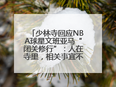 少林寺回应NBA球星文班亚马“闭关修行”：人在寺里，相关事宜不便公开