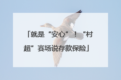 就是“安心”！“村超”赛场说存款保险