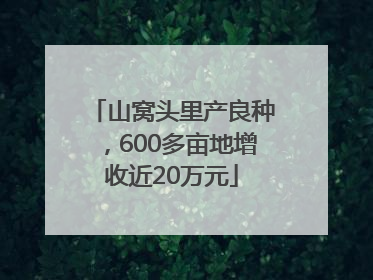 山窝头里产良种，600多亩地增收近20万元