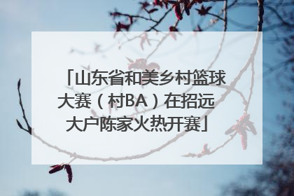 山东省和美乡村篮球大赛（村BA）在招远大户陈家火热开赛
