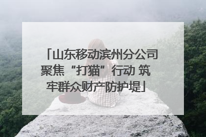 山东移动滨州分公司聚焦“打猫”行动 筑牢群众财产防护堤