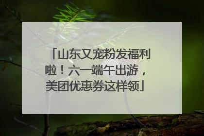山东又宠粉发福利啦！六一端午出游，美团优惠券这样领